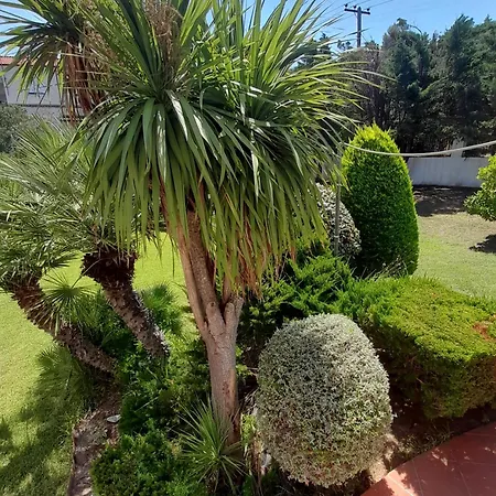 Aroma Holiday home *